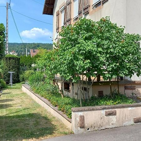 Studio D'Hotes A 10 Km De Gerardmer Le Tholy Exterior foto